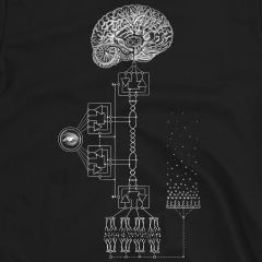 Consciousness Here There Everywhere T-Shirt